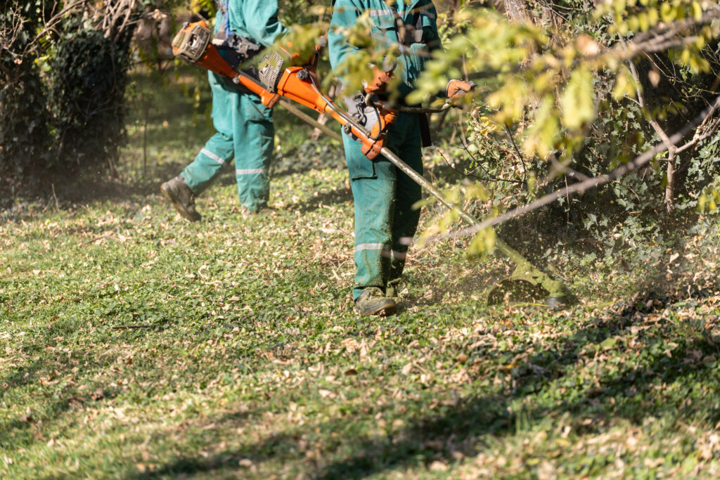 AdobeStock 1104320152 1 - Affordable Tree Surgery and Garden Maintenance